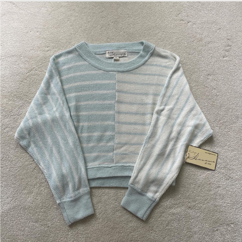 Striped Blue and White Sweater NWT